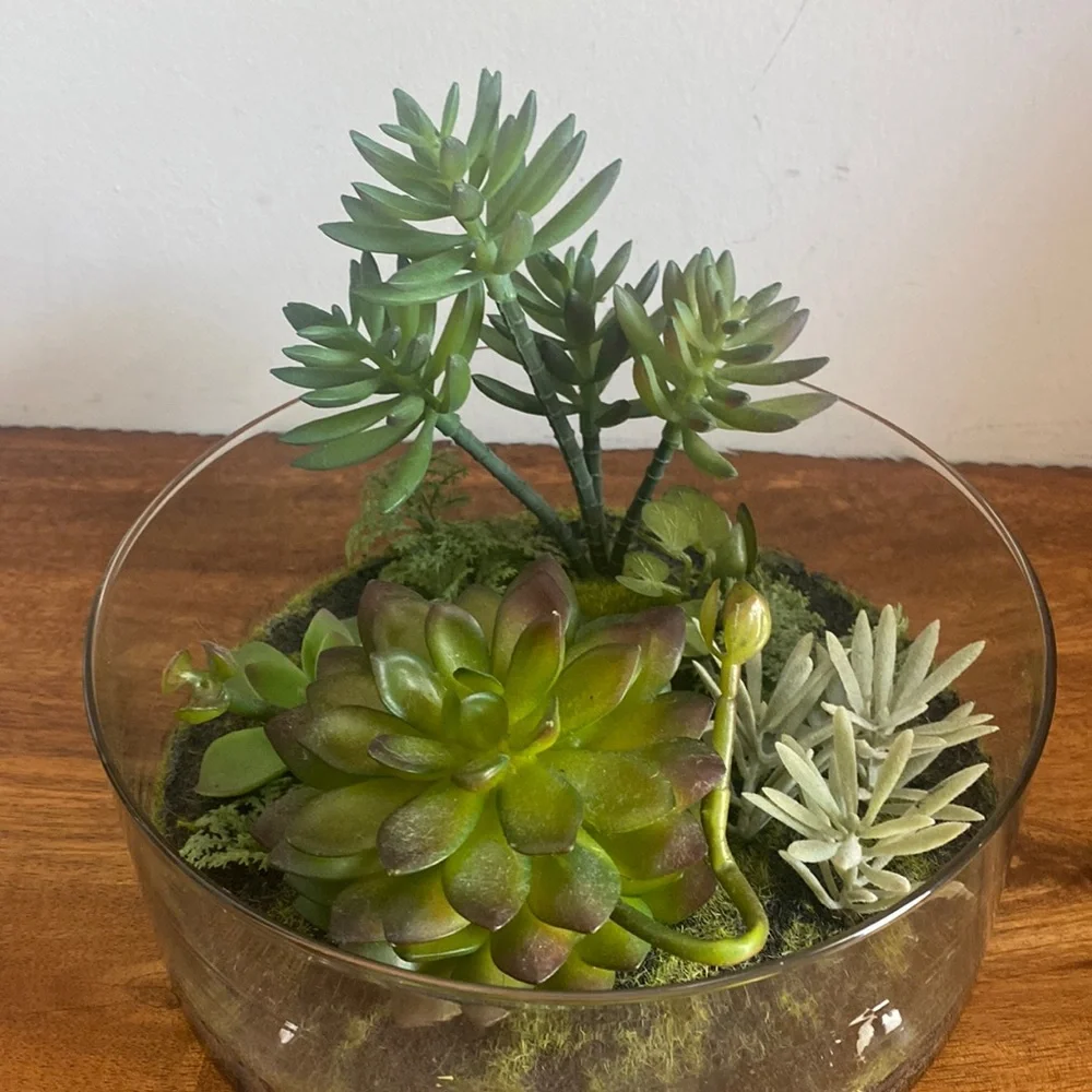 Target Threshold. Succulents in terrarium Glass bowl arrangement.